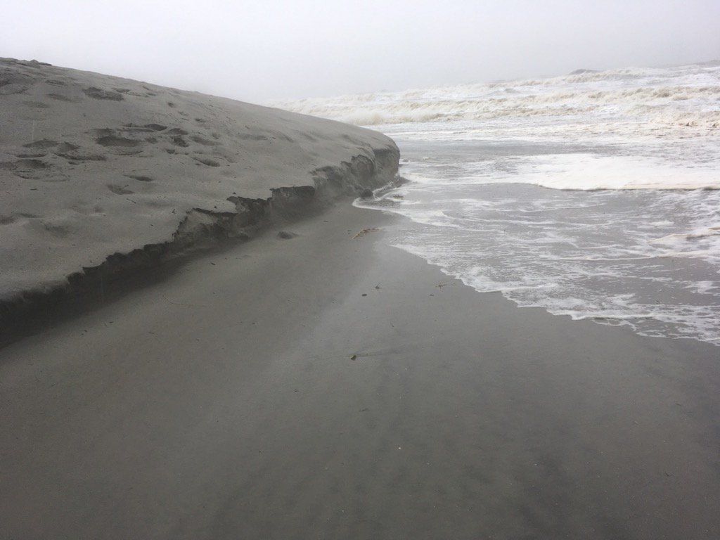 folly beach (web only)